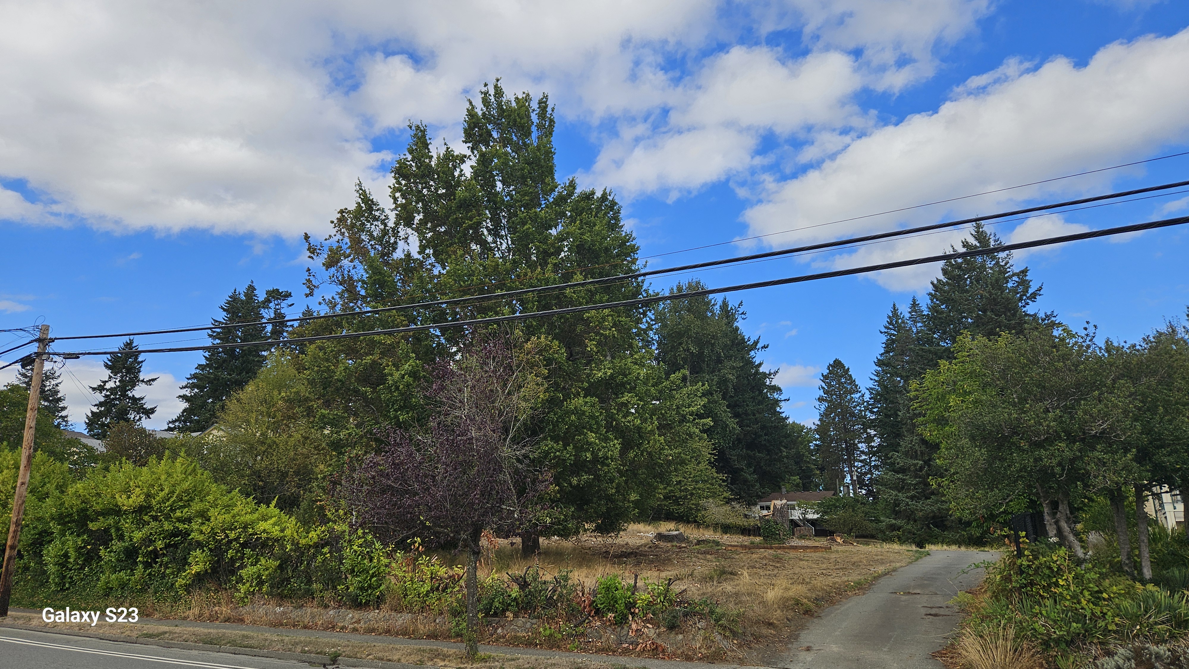 Hector-Aspen Neighbourhood