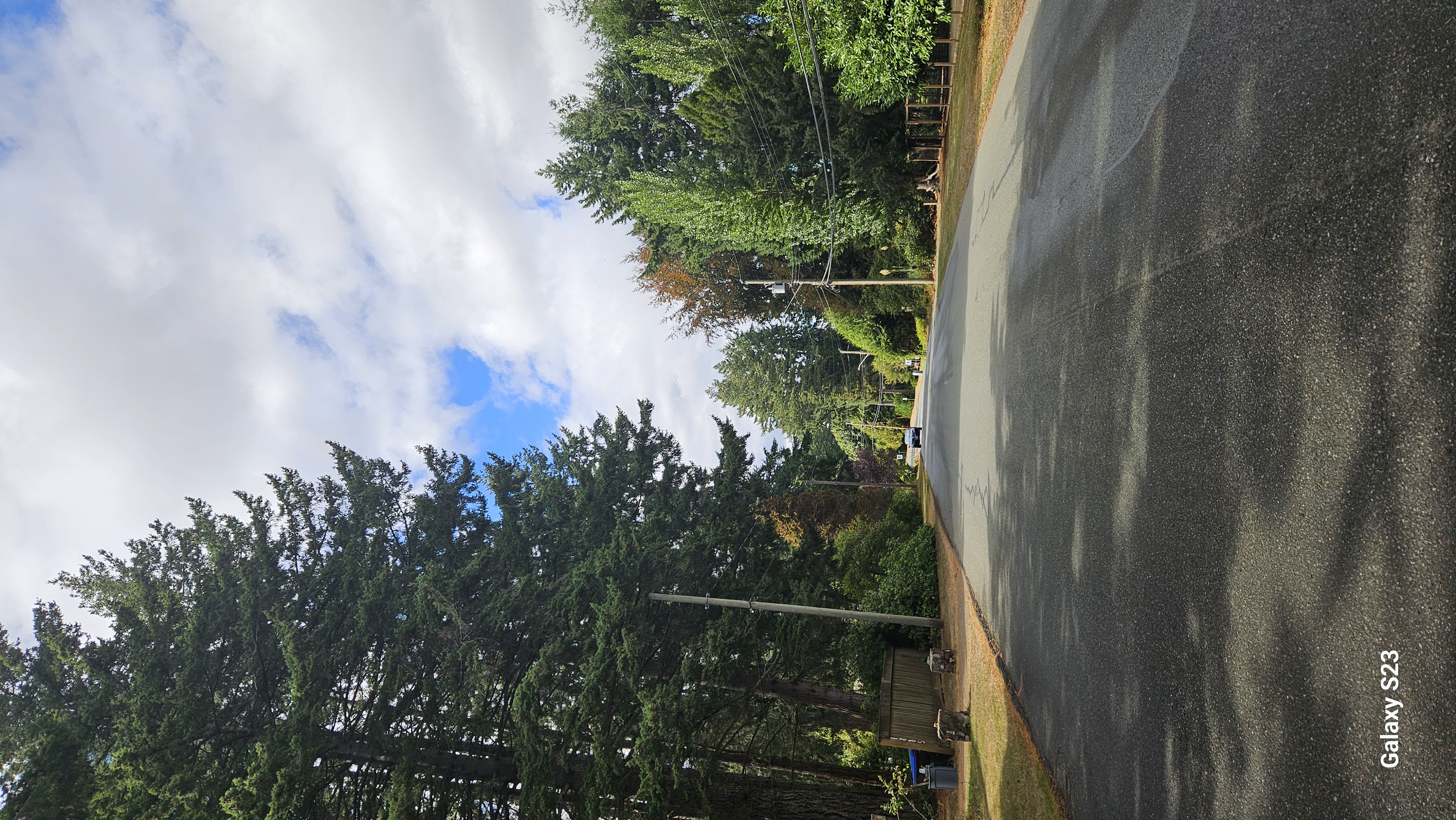 Buena Vista Neighbourhood