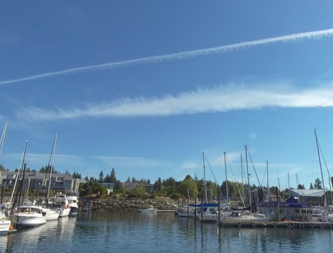 Downtown Neighbourhood